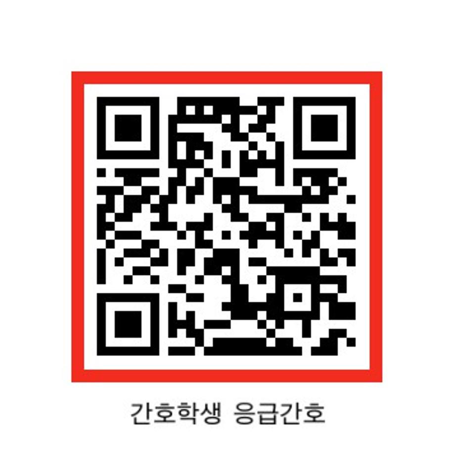 지역대학(타대학) 간호학생의 응급간호역량 향상을 위한 간호시뮬레이션 교육 2